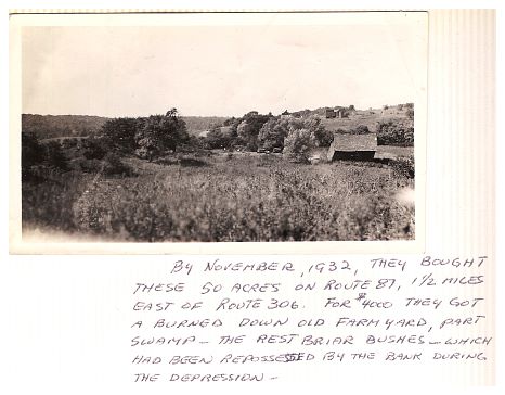 1932 - WLP - View of scenic Wiegand's Lake property.jpg